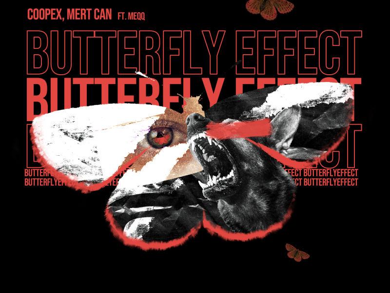 Butterfly Effect (Single)