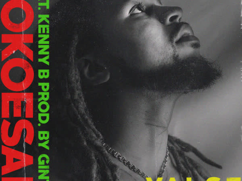 Valse Profeten (Single)