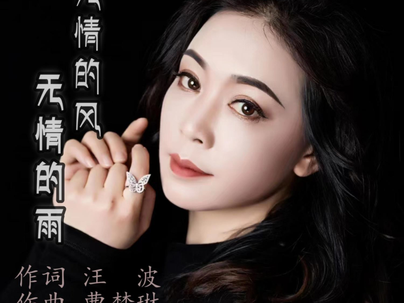 无情的风无情的雨 (EP)