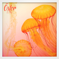 JellyFish (Single)