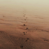 Just a Thought (Single)