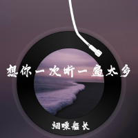 想你一次听一遍太多