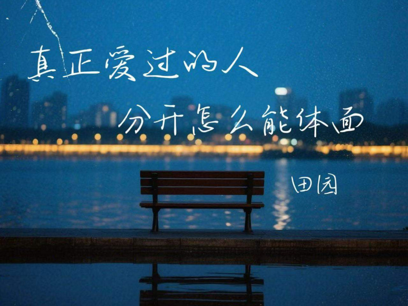真正爱过的人分开怎么能体面 (Dj德朋版) (Single)