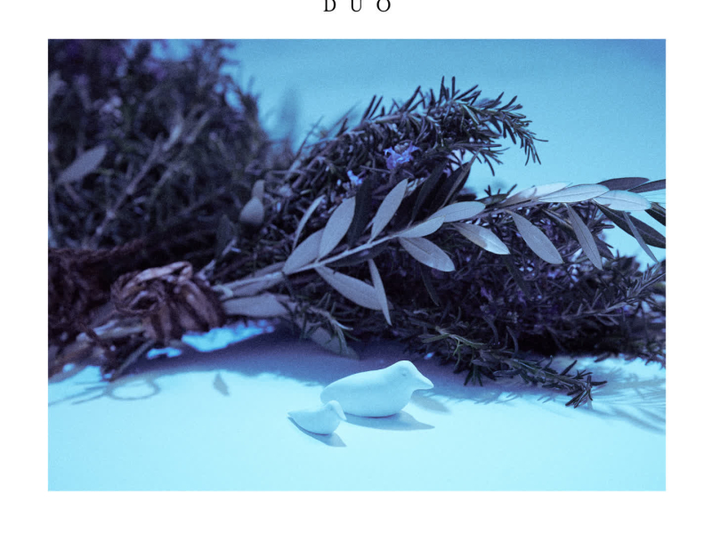 My Blue Bird (Single)