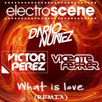What Is Love (Remix) (EP)