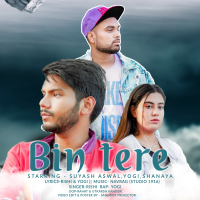 Bin Tere (feat. RISHI) (Single)