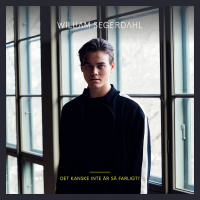 Det Kanske Inte är Så Farligt? (Single)