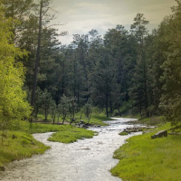 Calming Water Creek Sounds for Relaxation and Deep Sleeping (Single)