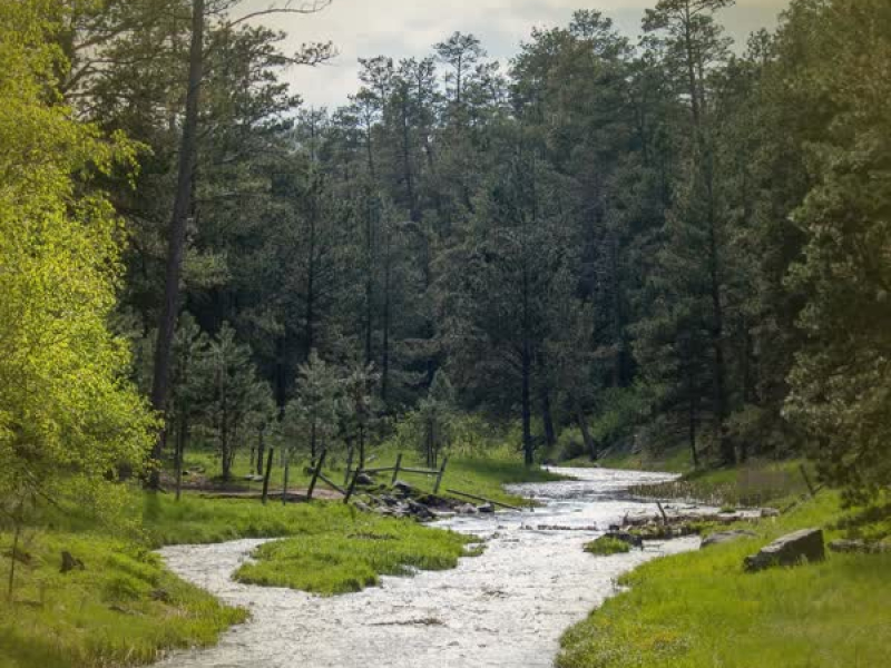 Calming Water Creek Sounds for Relaxation and Deep Sleeping (Single)