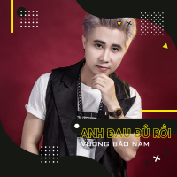 Anh Đau Đủ Rồi