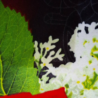 Bunga yang mekar (Single)