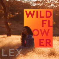 Wildflower (Single)