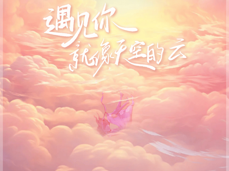 遇见你就像天空的云 (Dj降调降速版) (Single)