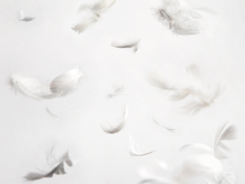 LISTEN 004 How Are You, The Love of My Life