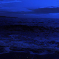 always//forever (Single)