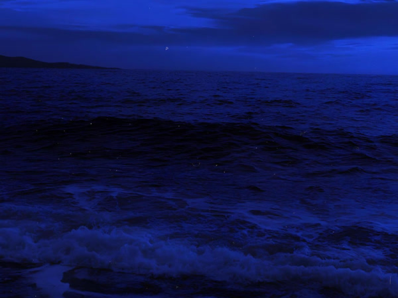 always//forever (Single)