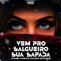 Vem Pro Salgueiro Sua Safada (Single)