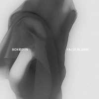 False Alarm (Ghost Culture Remix) (Single)