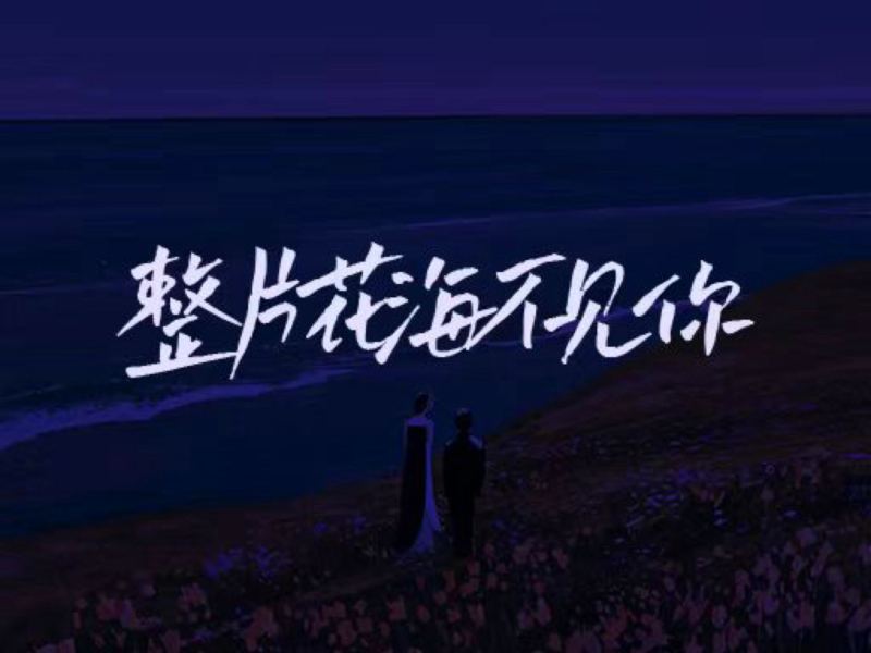 整片花海不见你 (Single)