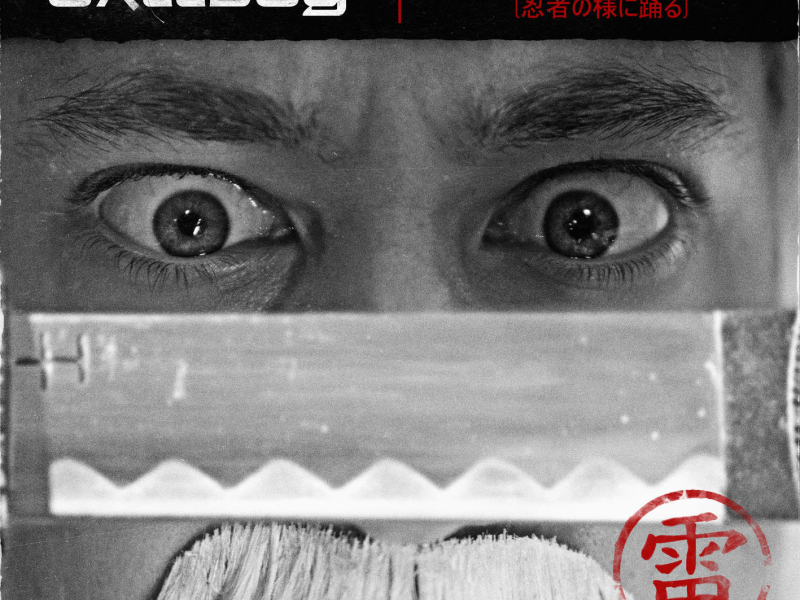 MC Thunder II (Dancing Like a Ninja) (Single)