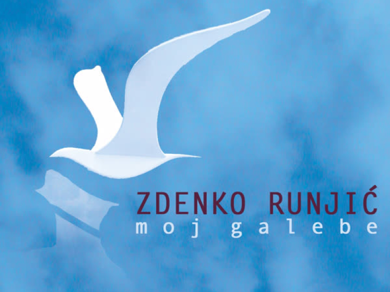 Moj Galebe, 100 Snimaka 1962.- 2002.