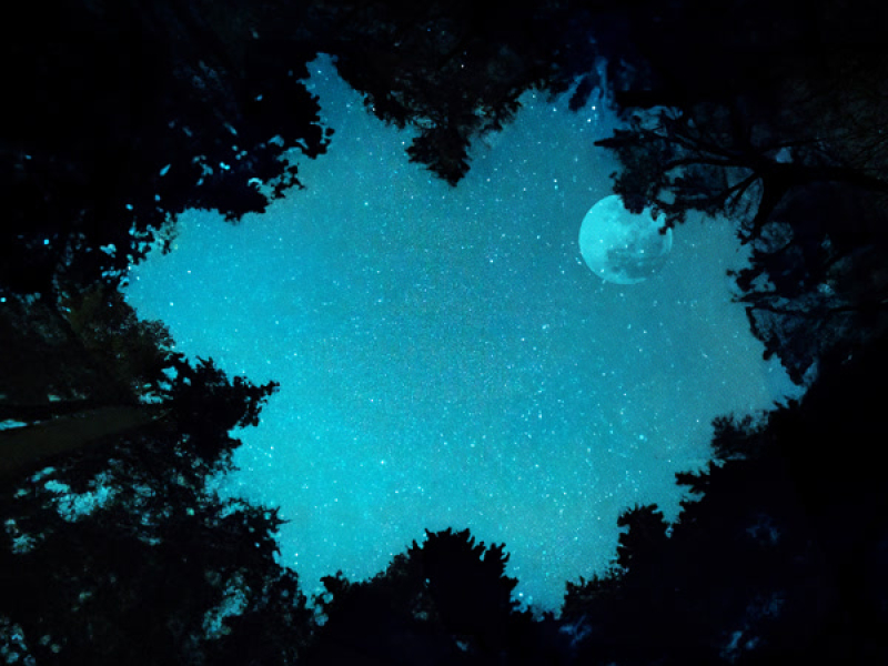 Welcome The Night (Single)