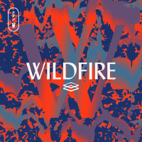 Wildfire (Live)