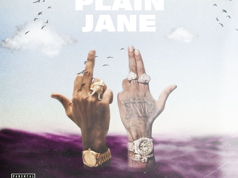 Plain Jane (Single)