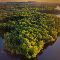 Rain Forest Amazon Nature with Sounds of Birds (Single)