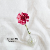 Pa' Que Me Quieras (Single)