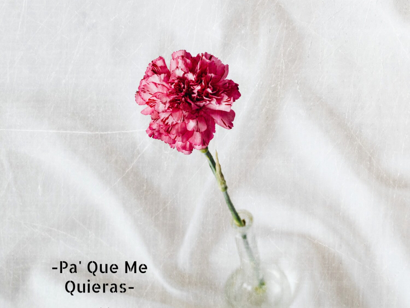 Pa' Que Me Quieras (Single)