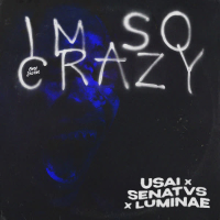 I'm So Crazy (Single)
