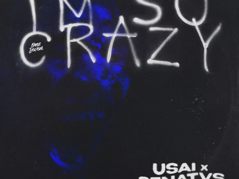 I'm So Crazy (Single)