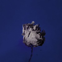 Fire Flower (Single)