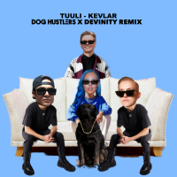 Kevlar (DOG HUSTLERS x Devinity Remix) (Single)