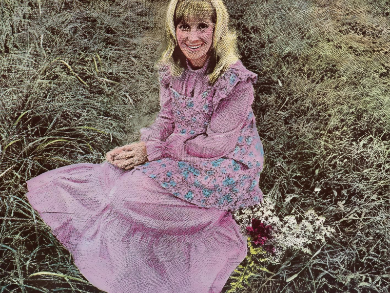 The Hillbilly Singer