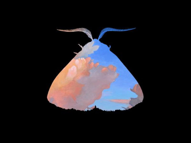 Moth to the Flame (Single)