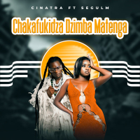 Chakafukidza Dzimba Matenga (Single)