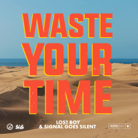 Waste Your Time (Single)