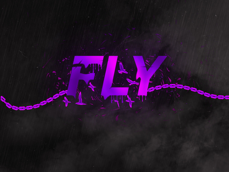 FLY (Single)