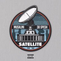 Satellite (Single)