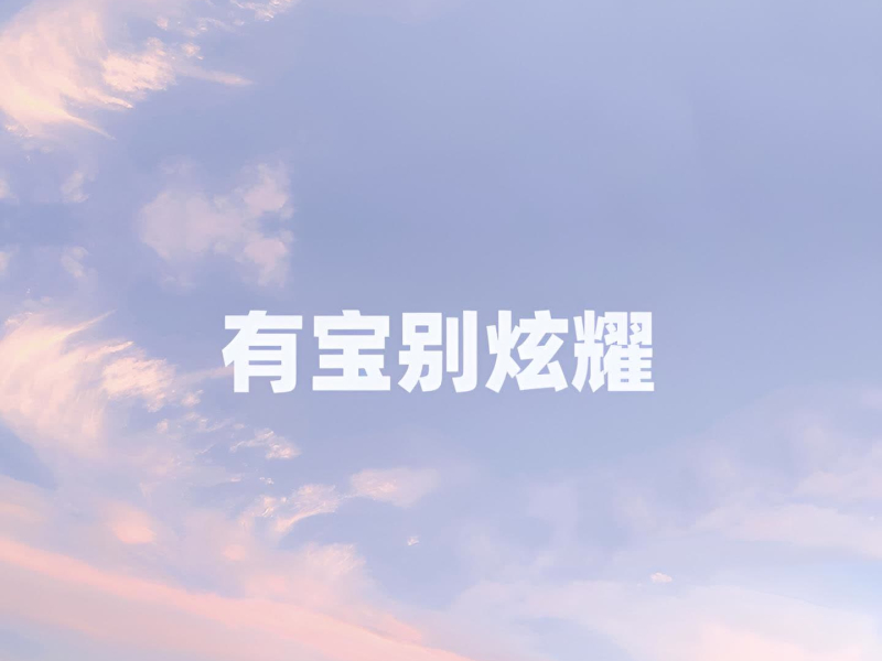 有宝别炫耀 (Single)