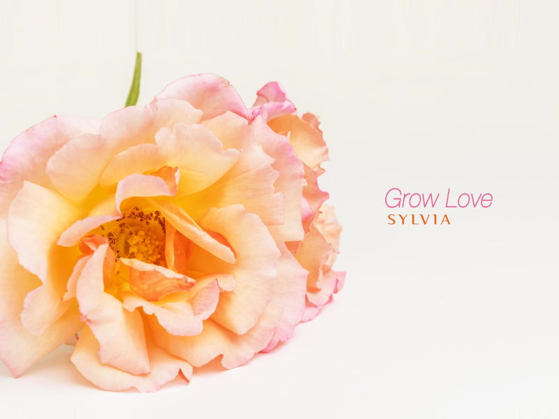 Grow Love (Single)