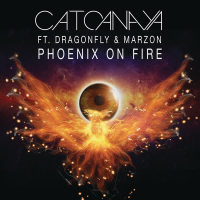 Phoenix On Fire (Radio Edit) (Single)