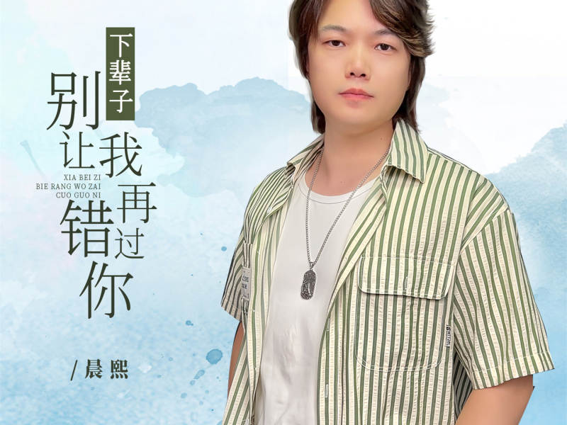 下辈子别让我再错过你 (Djbanan版) (Single)