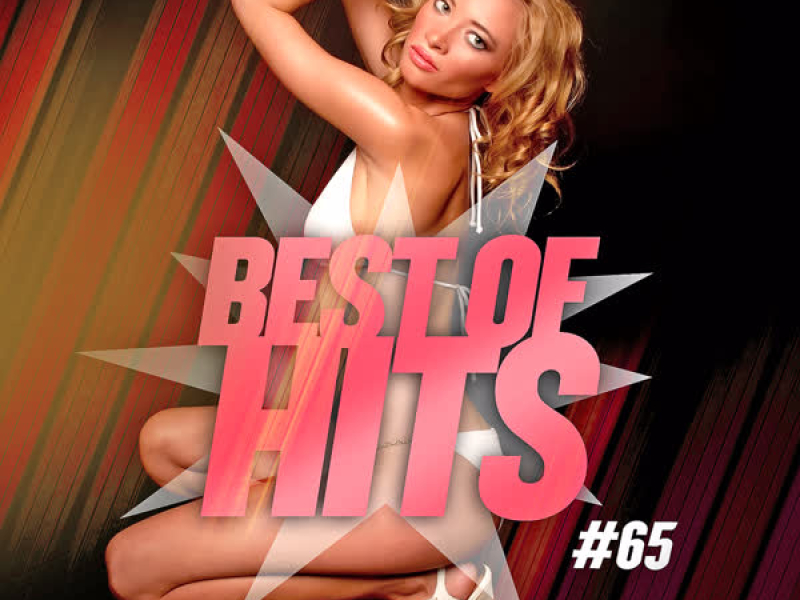 Best Of Hits Vol. 65