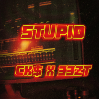 STUPID (Single)