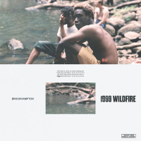 1999 WILDFIRE (Single)