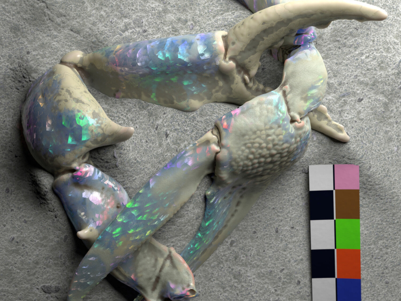 Let You Know (Single)