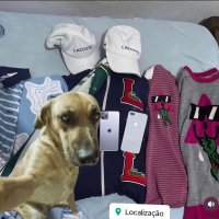 MONTAGEM MONTREAL DA ALEGRIA (Single)